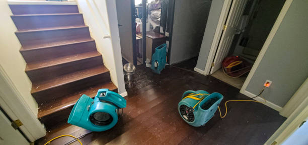 Best Carpet water damage restoration  in Toppenish, WA