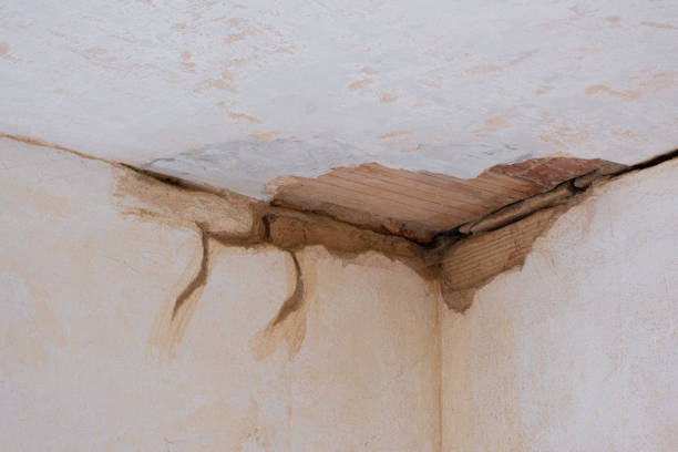 Best Commercial water damage restoration  in Toppenish, WA
