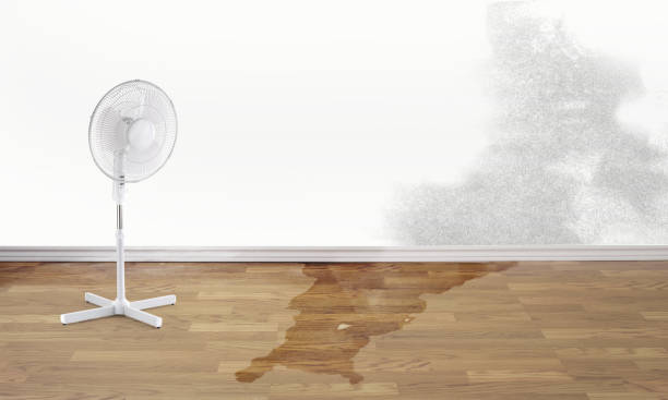 Best Flood damage cleanup  in Toppenish, WA