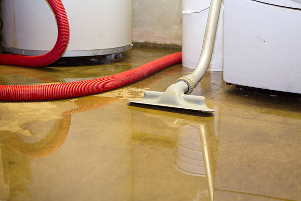 Best Residential water damage restoration  in Toppenish, WA