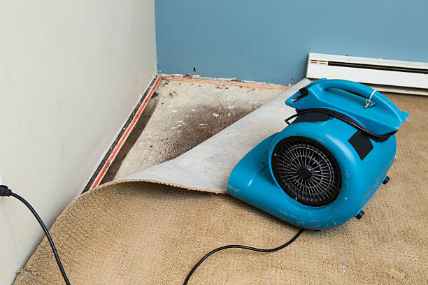 Best Residential water damage restoration  in Toppenish, WA